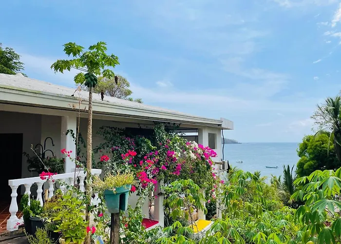 Coibahouse