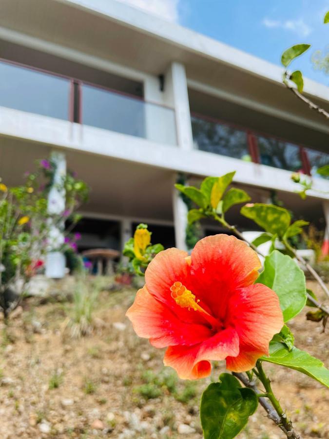 Coibahouse Guest house Santa Catalina