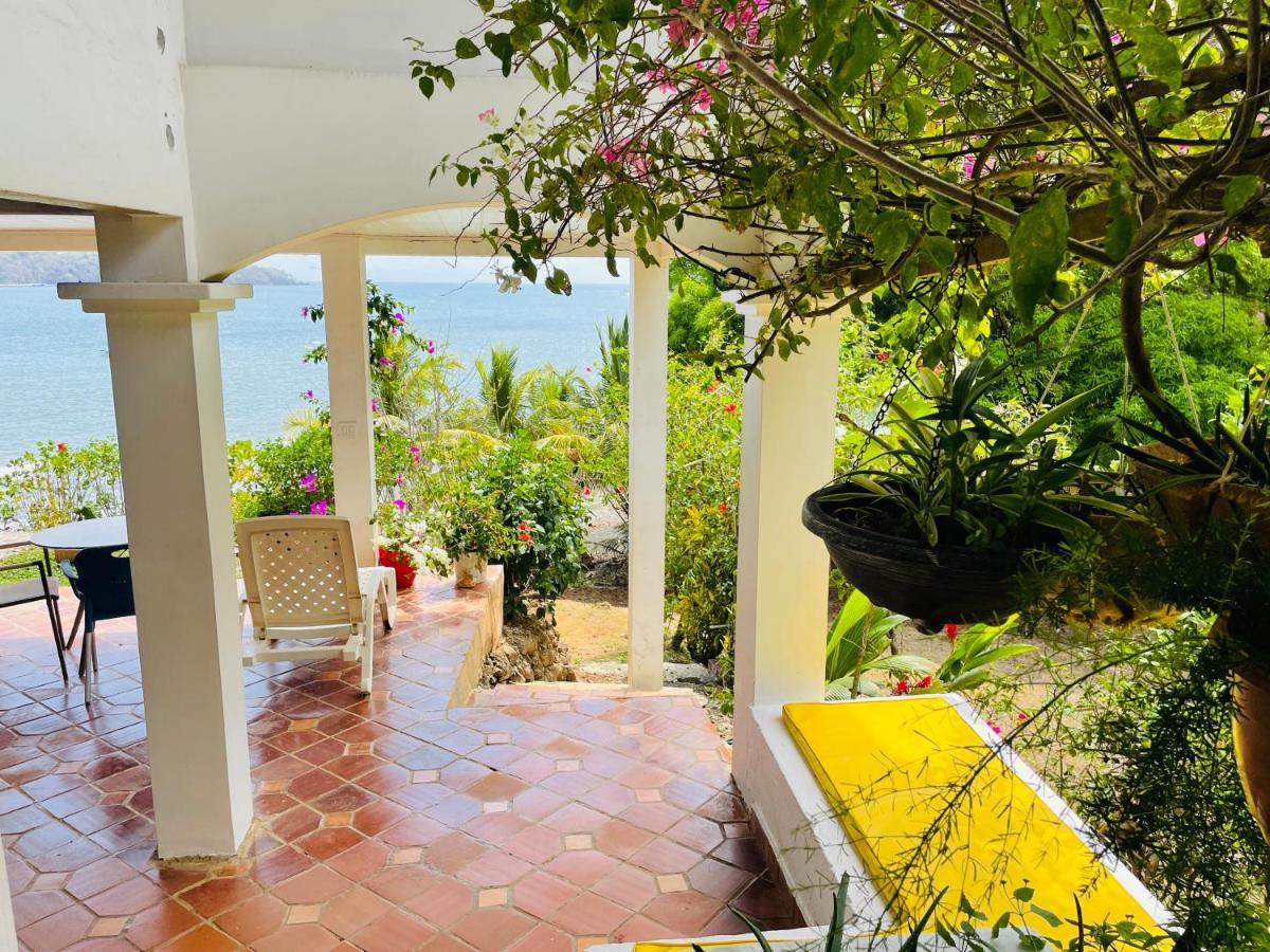 Guest house Coibahouse