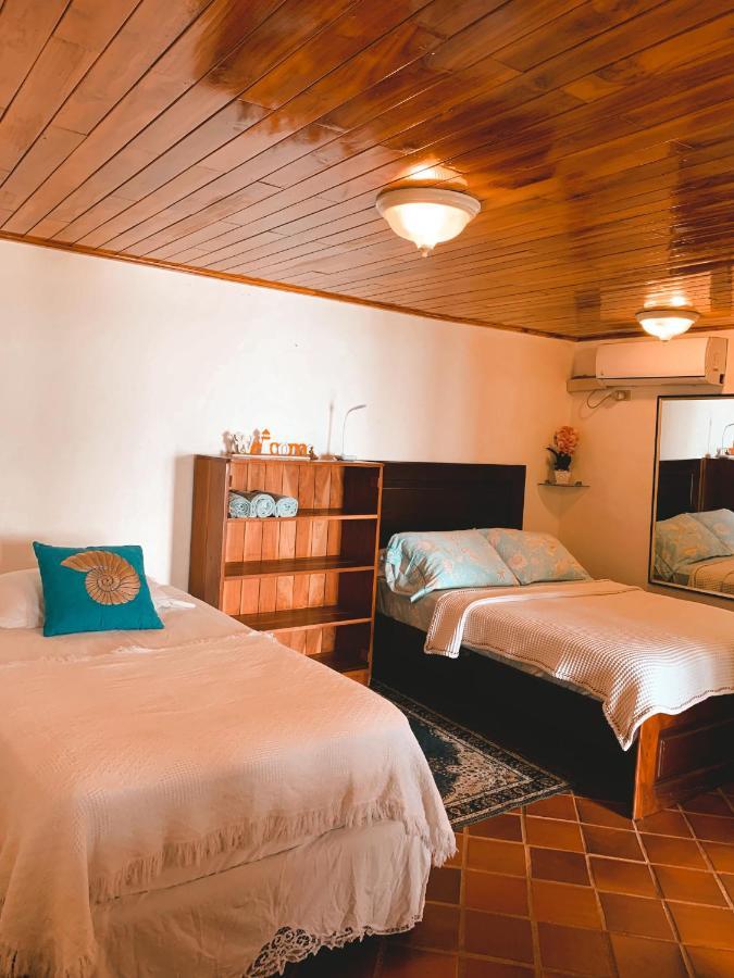 Guest house Coibahouse *